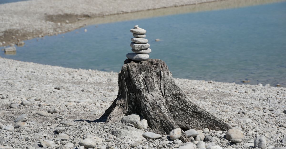 Application Techniques for Chemical Stump Removal Products