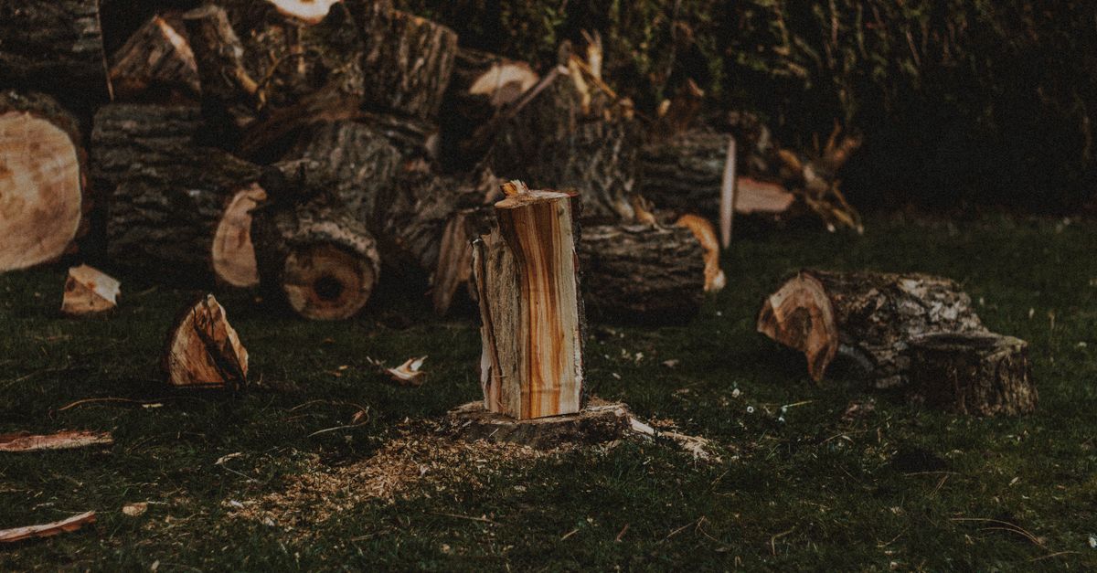 Best Stump Grinding Machines for Residential Use in Cairns