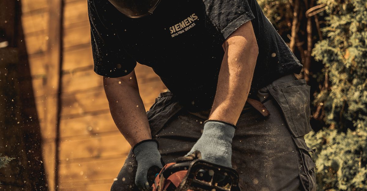 Comparing Local Stump Removal Service Charges in Cairns