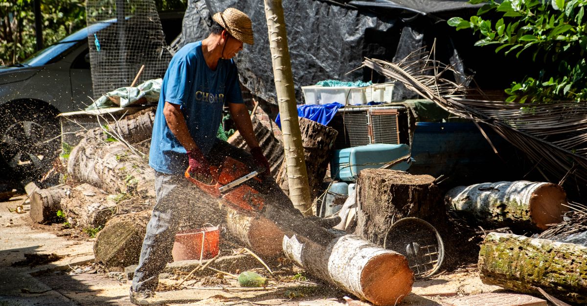 The Science Behind Chemical Stump Removers