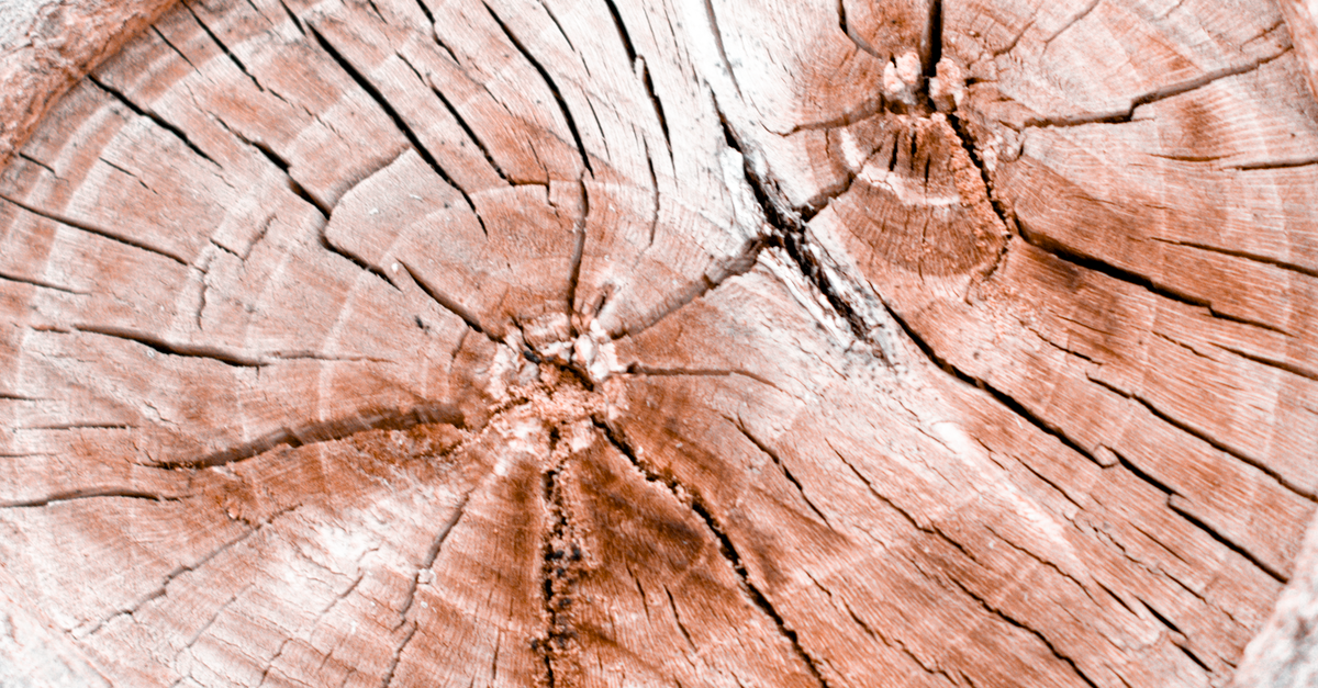 Top Features to Look for in Cordless Stump Removal Tools